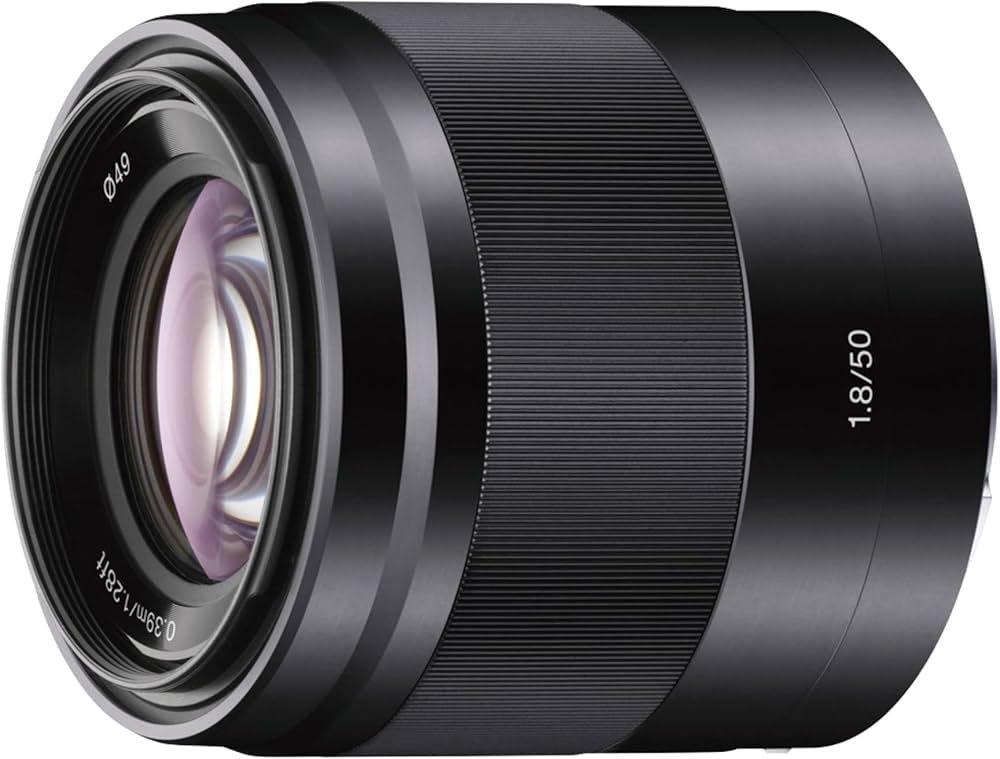 best-camera-lenses-for-sony-aps-c-mirrorless-camera